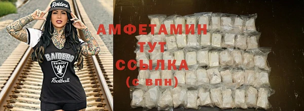винт Алексин