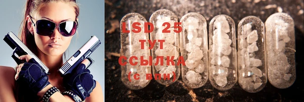 спиды Алзамай