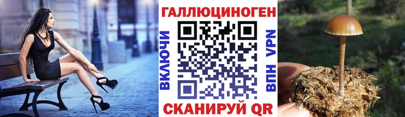 Псилоцибиновые грибы MAGIC MUSHROOMS  Купить закладки  Трубчевск 